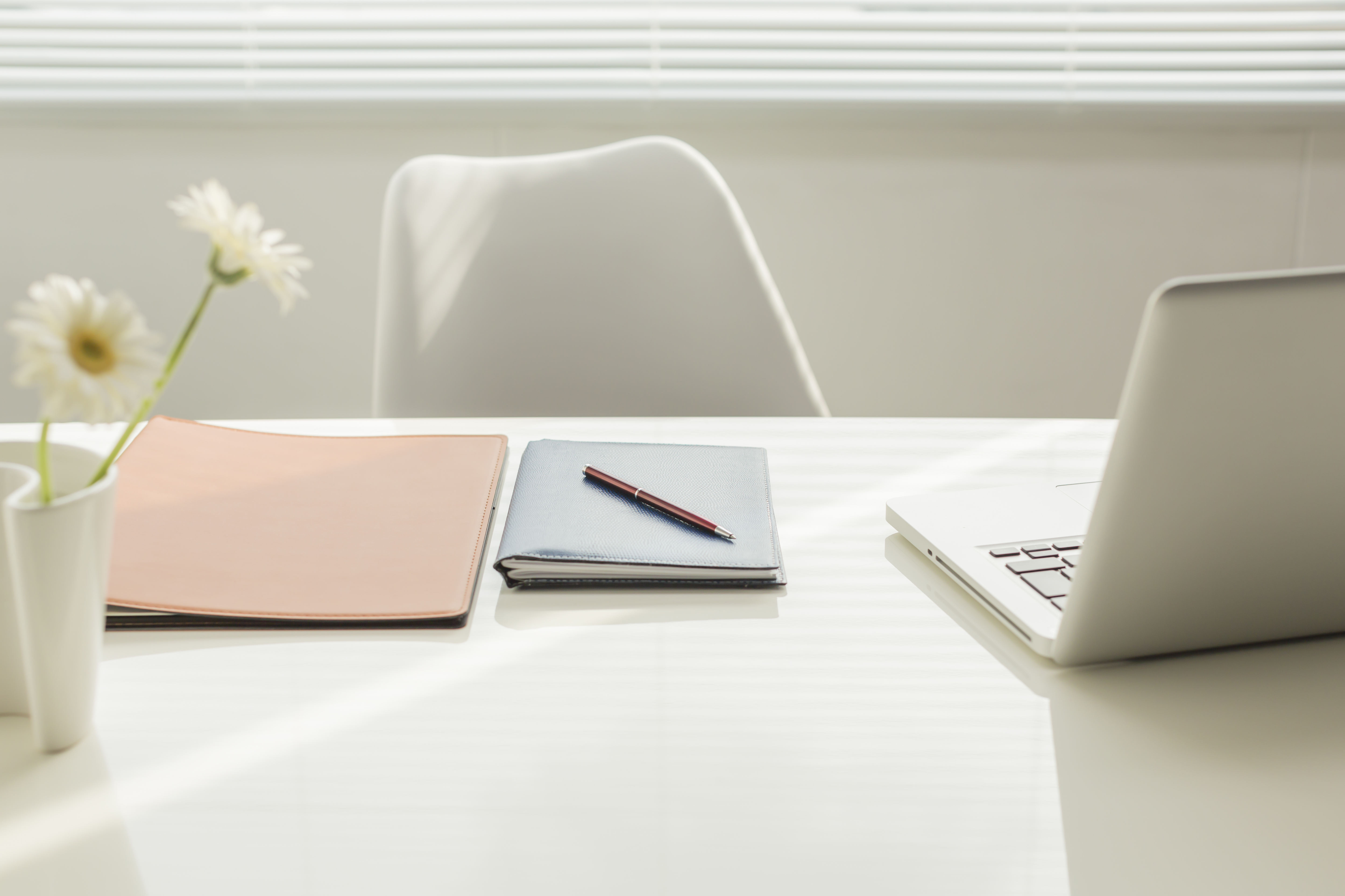 Обои на работе стол. Красивые белые Ноутбуки. Ноутбук в офисе. Цветы на рабочем столе в офисе. Деловая заставка на рабочий стол.